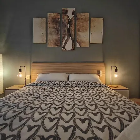 Lg Downtown Apartment *